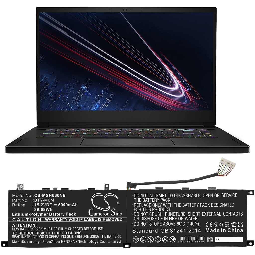 MSI Gs66 10sf-067