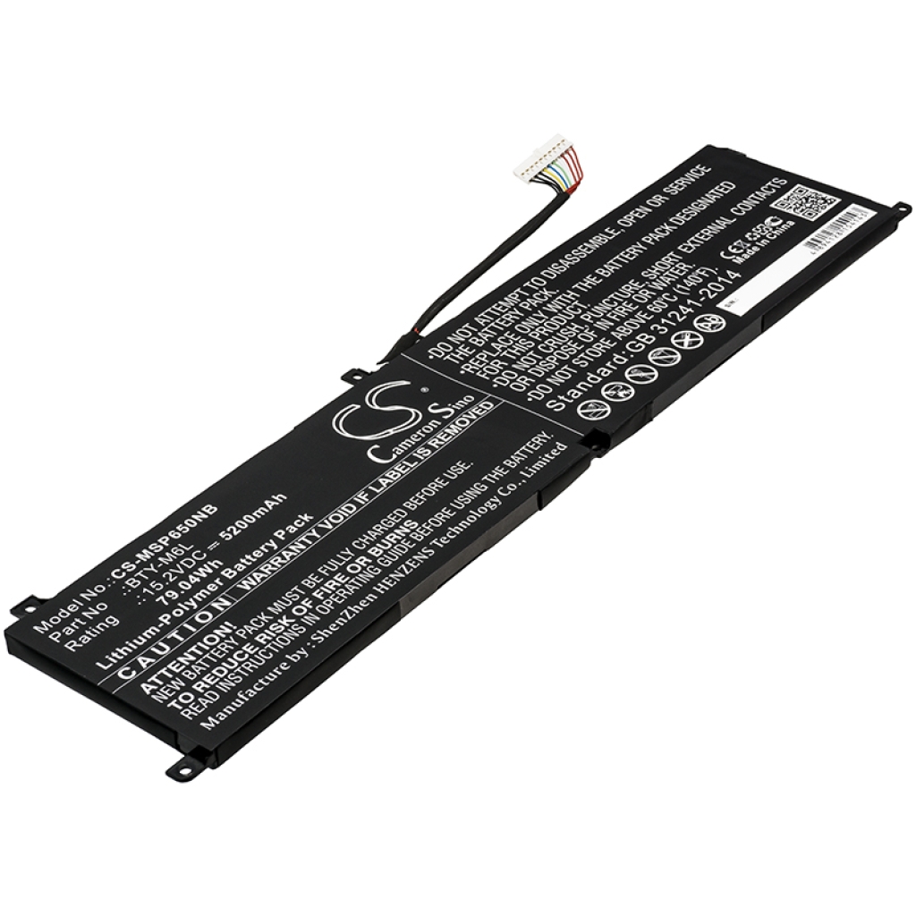 Batterie Sostituisce BTY-M6L